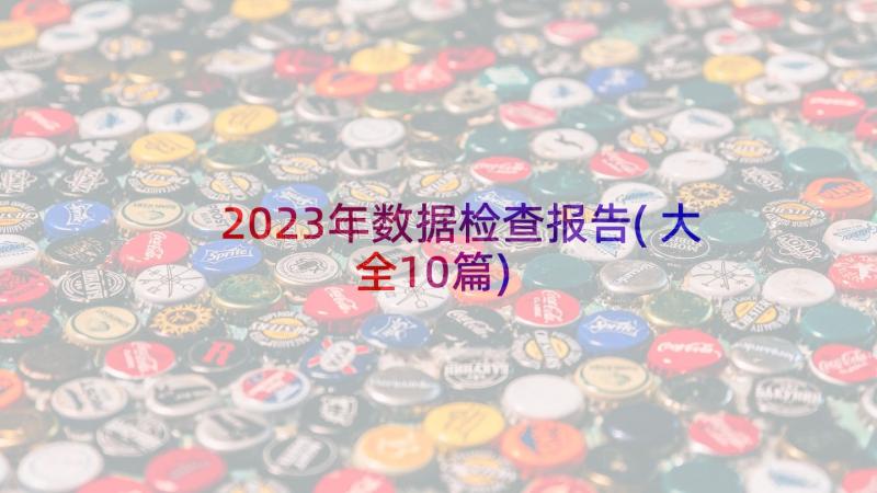 2023年数据检查报告(大全10篇)