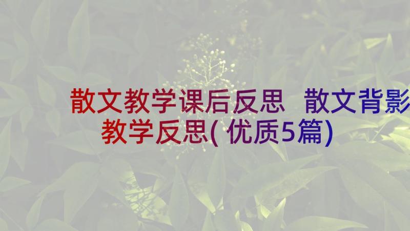 散文教学课后反思 散文背影教学反思(优质5篇)