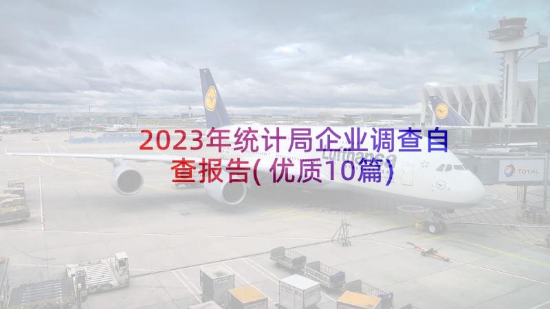 2023年统计局企业调查自查报告(优质10篇)