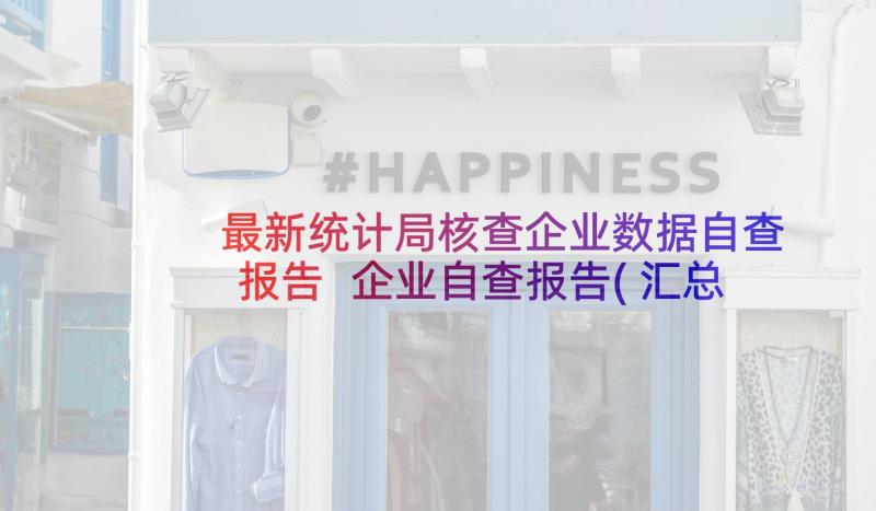 最新统计局核查企业数据自查报告 企业自查报告(汇总6篇)