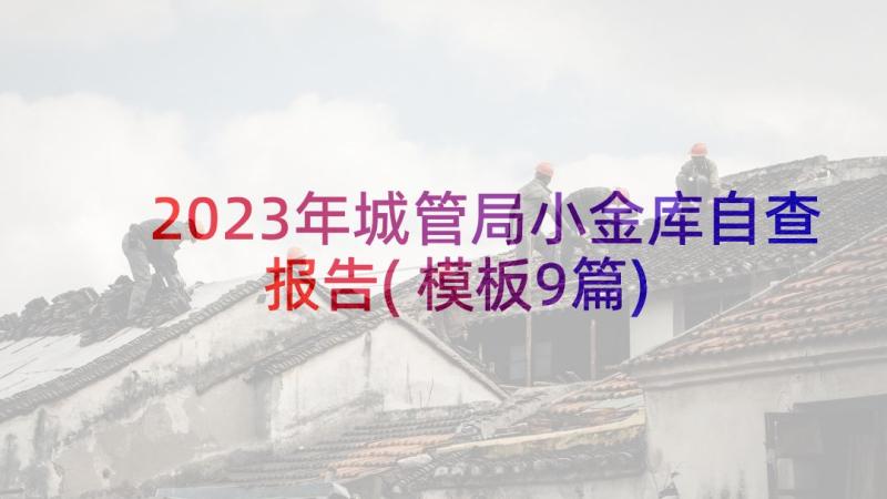 2023年城管局小金库自查报告(模板9篇)