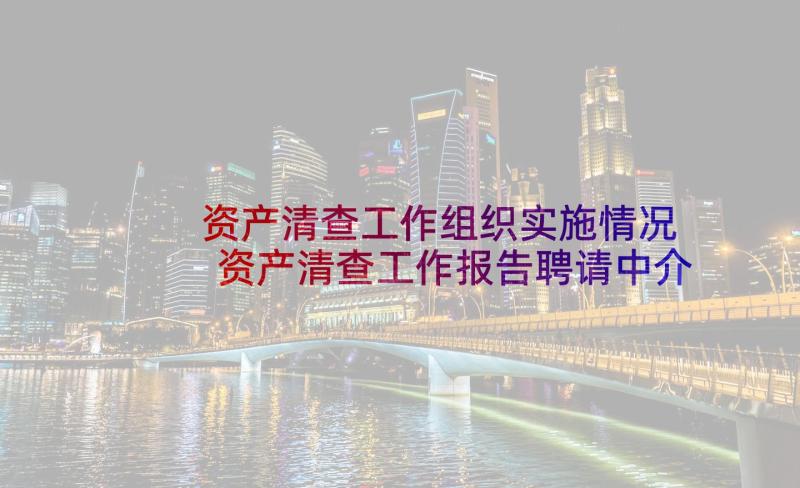 资产清查工作组织实施情况 资产清查工作报告聘请中介审计情况(汇总5篇)