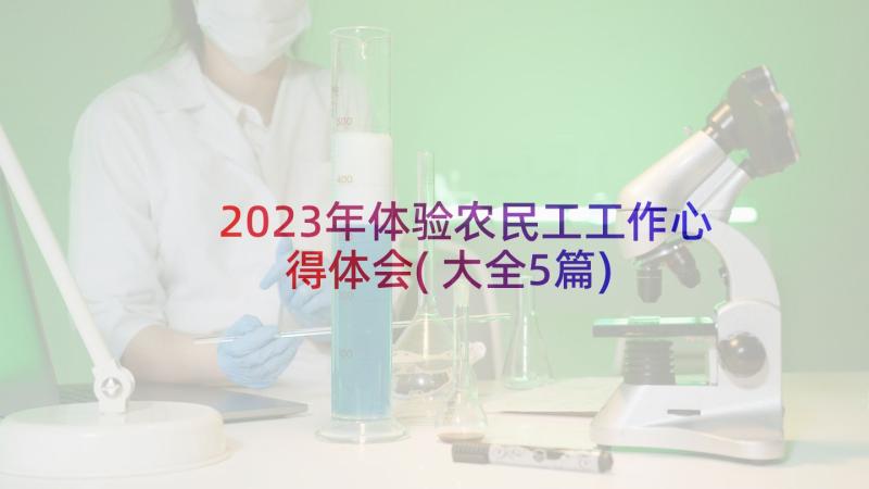 2023年体验农民工工作心得体会(大全5篇)