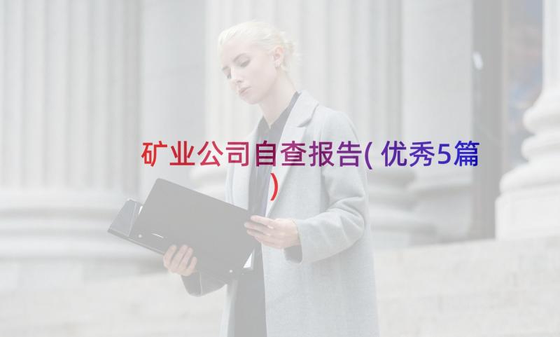 矿业公司自查报告(优秀5篇)