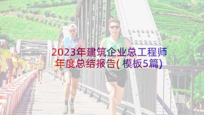 2023年建筑企业总工程师年度总结报告(模板5篇)