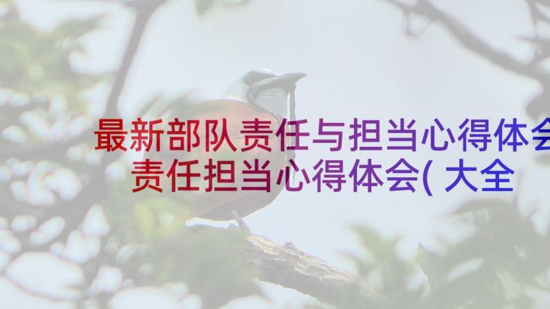 最新部队责任与担当心得体会 责任担当心得体会(大全9篇)