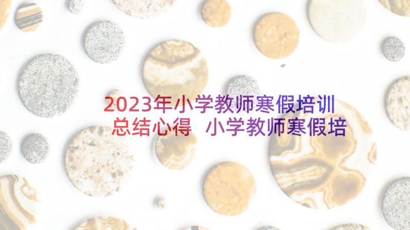 2023年小学教师寒假培训总结心得 小学教师寒假培训总结(大全5篇)