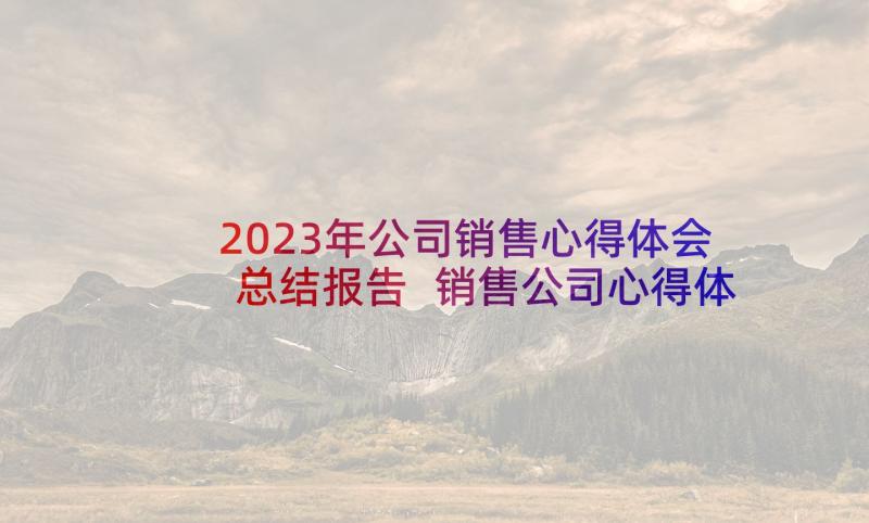 2023年公司销售心得体会总结报告 销售公司心得体会(实用9篇)