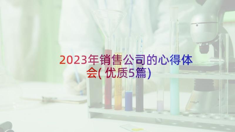 2023年销售公司的心得体会(优质5篇)