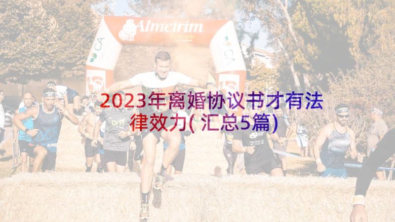 2023年离婚协议书才有法律效力(汇总5篇)