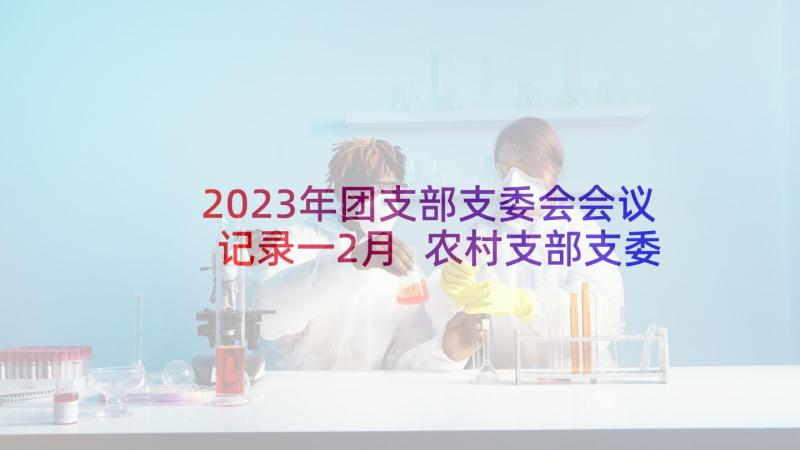 2023年团支部支委会会议记录一2月 农村支部支委会会议记录(实用5篇)