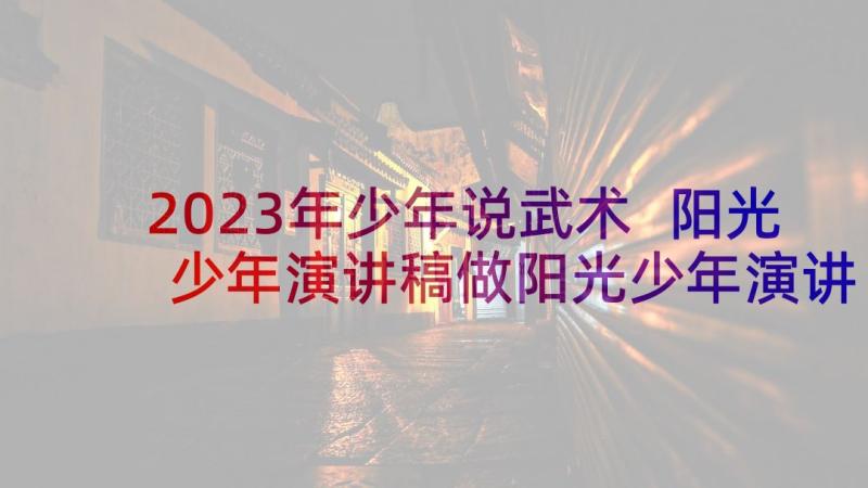 2023年少年说武术 阳光少年演讲稿做阳光少年演讲稿(优质5篇)