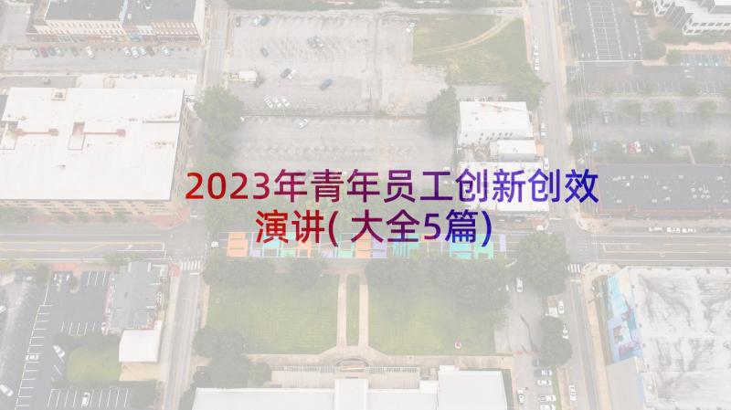 2023年青年员工创新创效演讲(大全5篇)