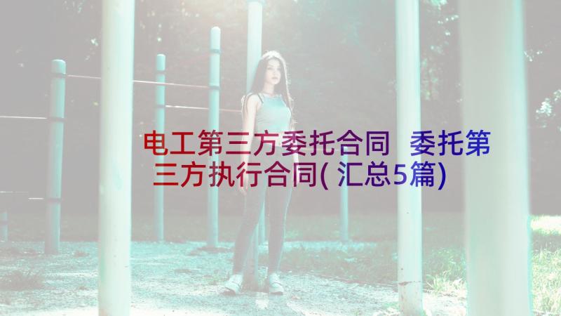 电工第三方委托合同 委托第三方执行合同(汇总5篇)