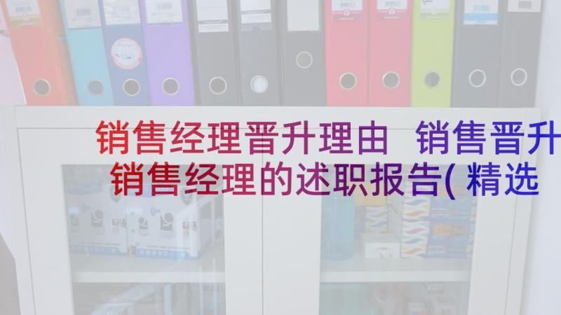 销售经理晋升理由 销售晋升销售经理的述职报告(精选5篇)