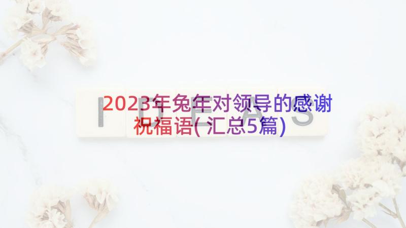 2023年兔年对领导的感谢祝福语(汇总5篇)