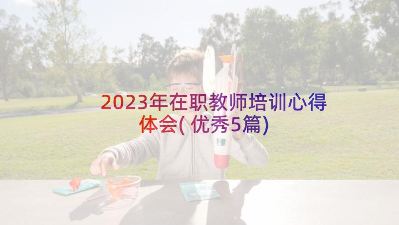 2023年在职教师培训心得体会(优秀5篇)