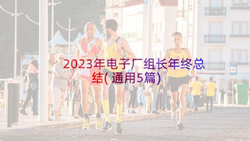 2023年电子厂组长年终总结(通用5篇)