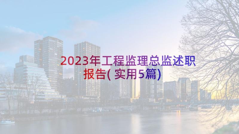 2023年工程监理总监述职报告(实用5篇)