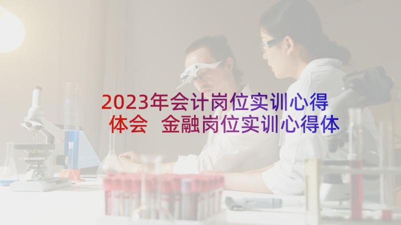 2023年会计岗位实训心得体会 金融岗位实训心得体会总结(通用5篇)