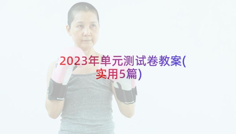 2023年单元测试卷教案(实用5篇)