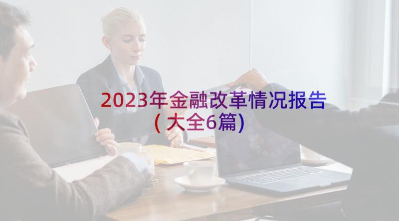 2023年金融改革情况报告(大全6篇)