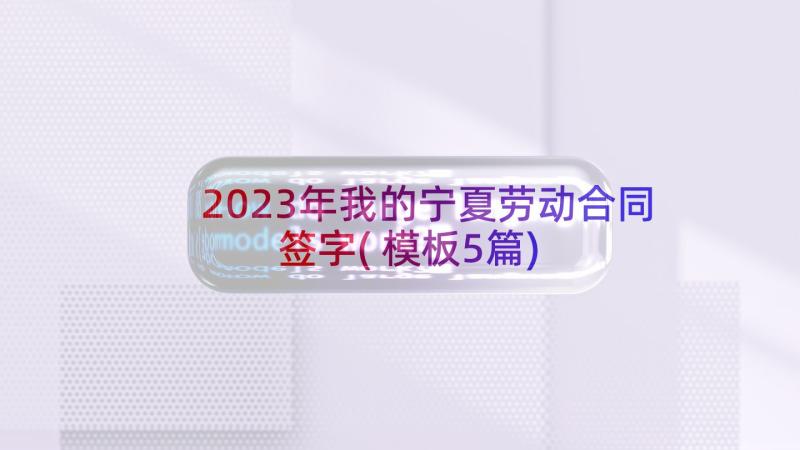 2023年我的宁夏劳动合同签字(模板5篇)