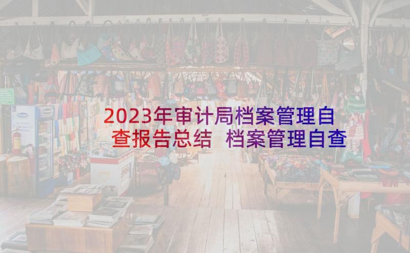 2023年审计局档案管理自查报告总结 档案管理自查报告(通用8篇)