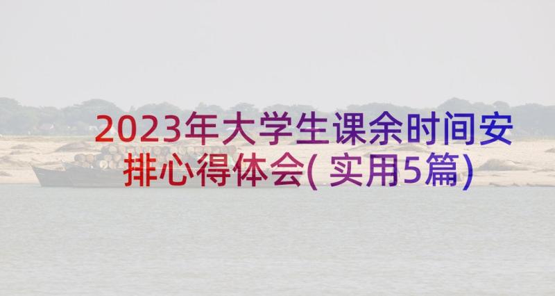 2023年大学生课余时间安排心得体会(实用5篇)