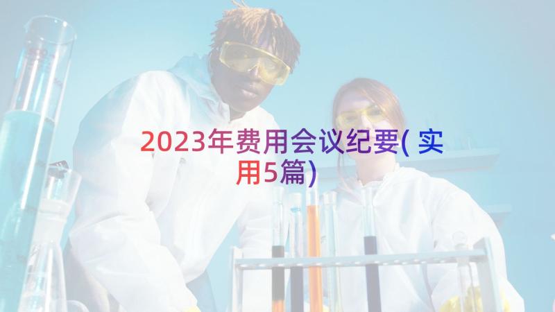 2023年费用会议纪要(实用5篇)