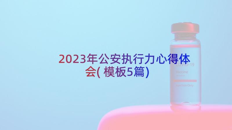 2023年公安执行力心得体会(模板5篇)