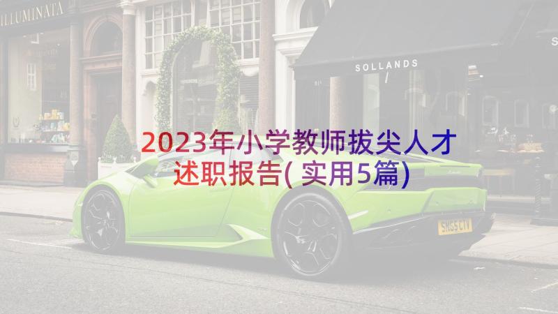 2023年小学教师拔尖人才述职报告(实用5篇)