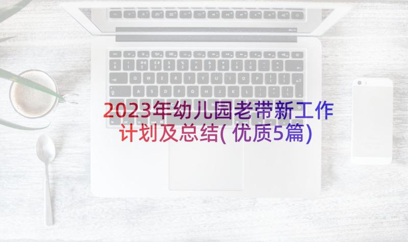 2023年幼儿园老带新工作计划及总结(优质5篇)