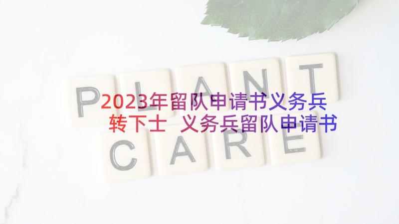 2023年留队申请书义务兵转下士 义务兵留队申请书(通用10篇)