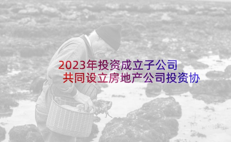 2023年投资成立子公司 共同设立房地产公司投资协议(大全5篇)