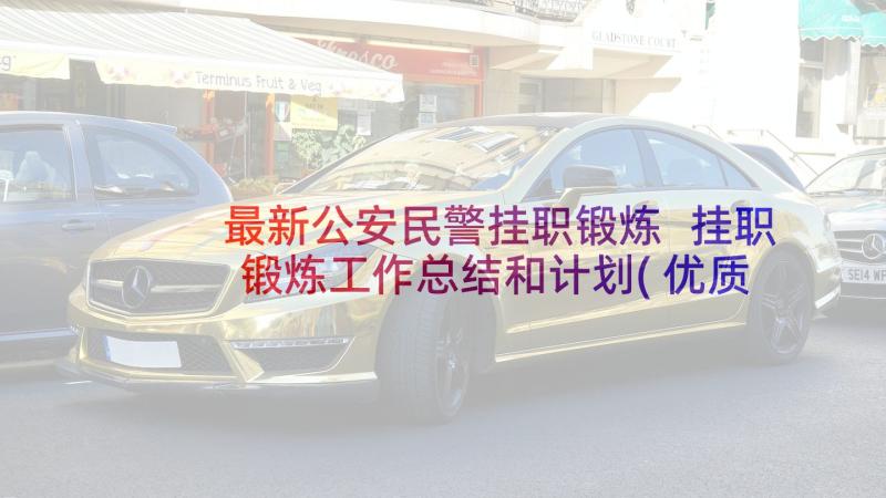 最新公安民警挂职锻炼 挂职锻炼工作总结和计划(优质5篇)