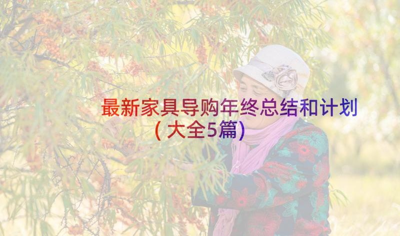 最新家具导购年终总结和计划(大全5篇)