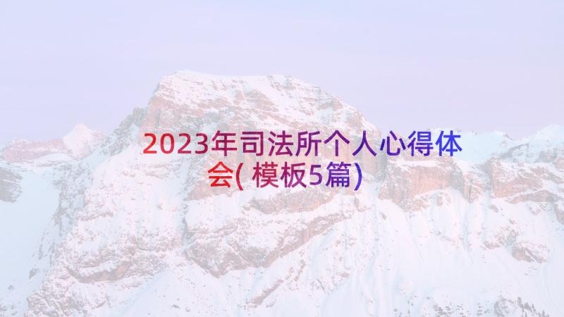 2023年司法所个人心得体会(模板5篇)