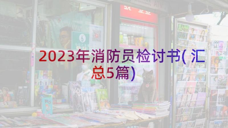 2023年消防员检讨书(汇总5篇)