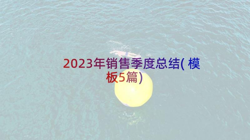 2023年销售季度总结(模板5篇)