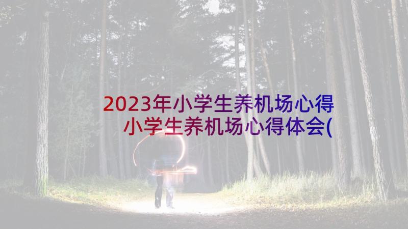 2023年小学生养机场心得 小学生养机场心得体会(优秀5篇)