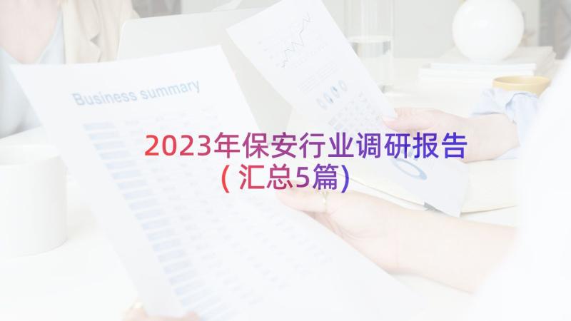 2023年保安行业调研报告(汇总5篇)