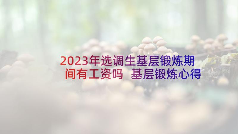 2023年选调生基层锻炼期间有工资吗 基层锻炼心得体会(优秀8篇)