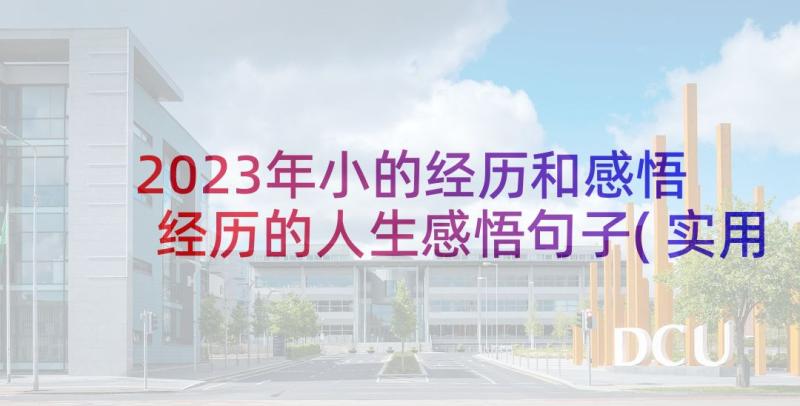 2023年小的经历和感悟 经历的人生感悟句子(实用7篇)