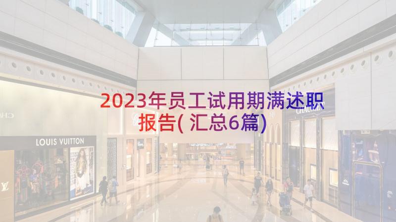 2023年员工试用期满述职报告(汇总6篇)