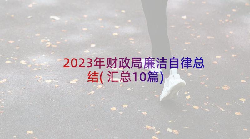2023年财政局廉洁自律总结(汇总10篇)