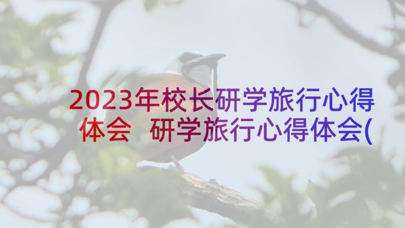 2023年校长研学旅行心得体会 研学旅行心得体会(实用9篇)