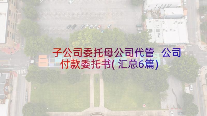 子公司委托母公司代管 公司付款委托书(汇总6篇)