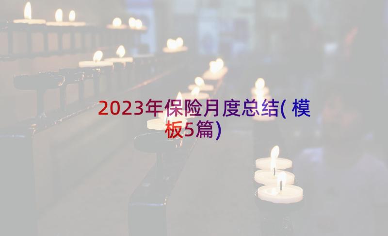 2023年保险月度总结(模板5篇)