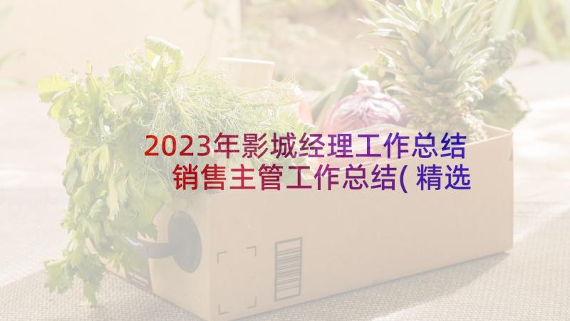 2023年影城经理工作总结 销售主管工作总结(精选9篇)